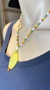 Collar Multicolor